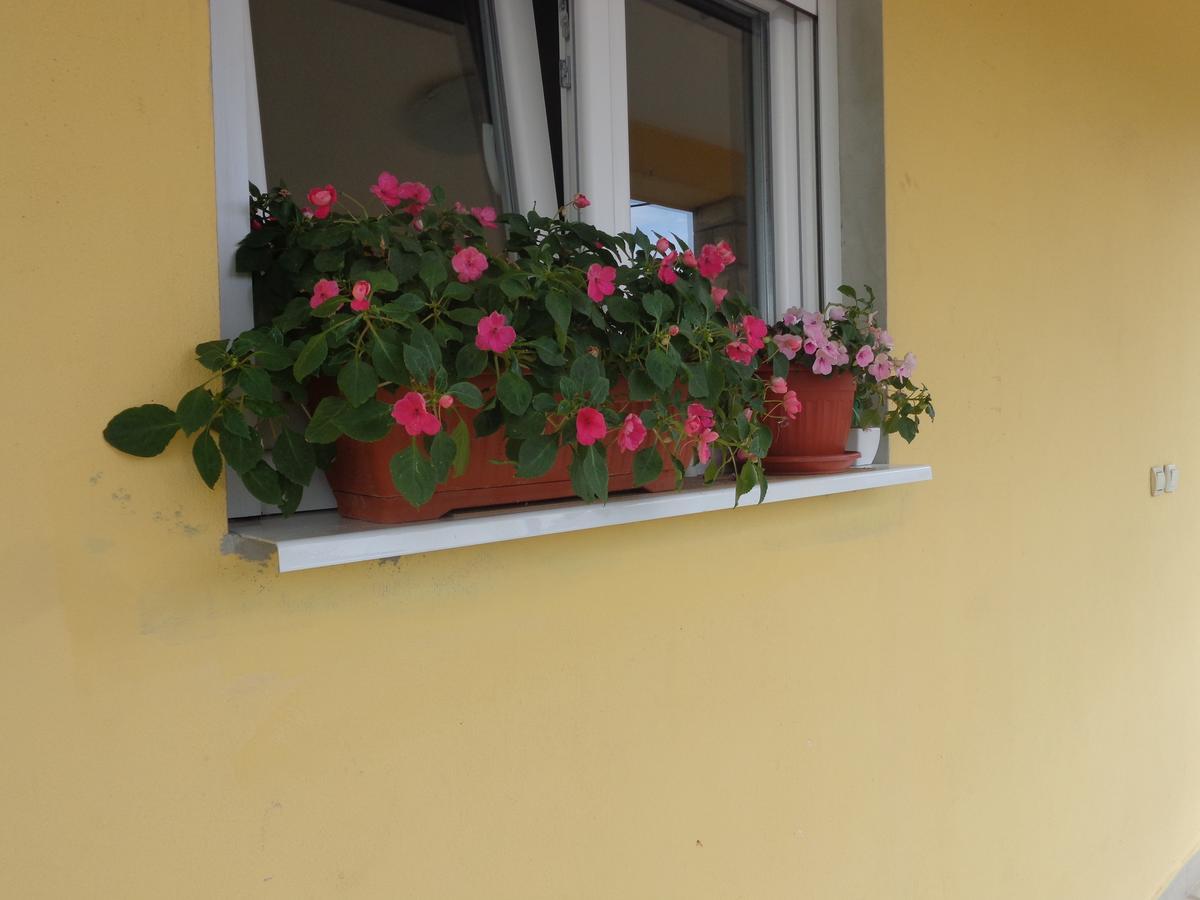 Guest House Ivana تيفات المظهر الخارجي الصورة